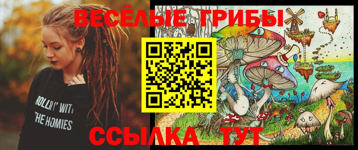 Шарыпово  Галлюциногенные грибы прущие грибы  Вход с VPN 