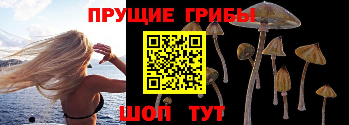 Псилоцибиновые грибы ЛСД Шарыпово